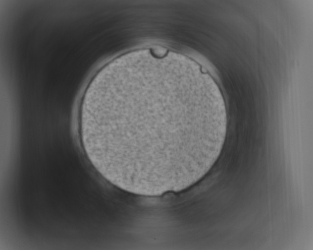 X0000100501104200807111138