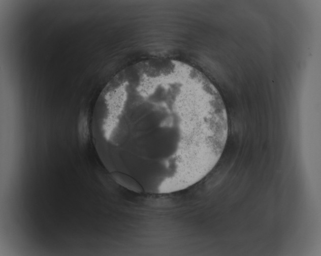 X0000100501106200807111137