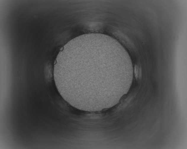 X0000100501107200807111137