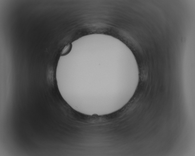 X0000100501108200807111137