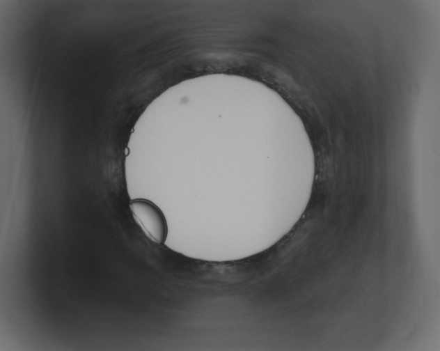 X0000100501109200807111137