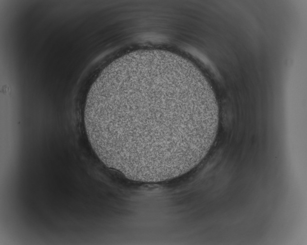 X0000100501112200807111137