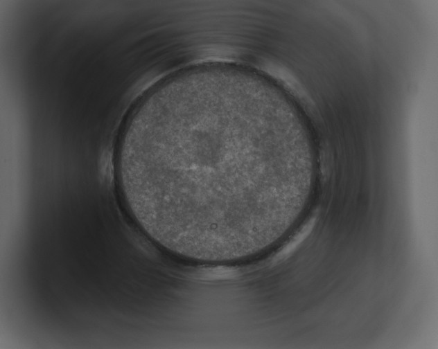 X0000100501113200807111137