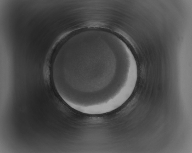 X0000100501115200807111137