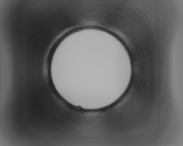 X0000100501118200807111137