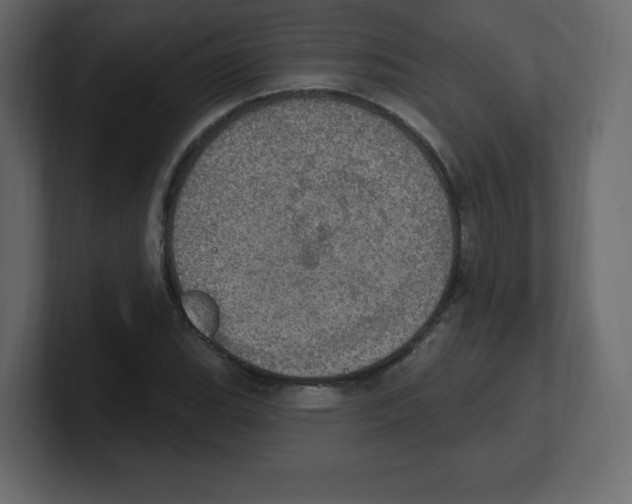 X0000100501119200807111137