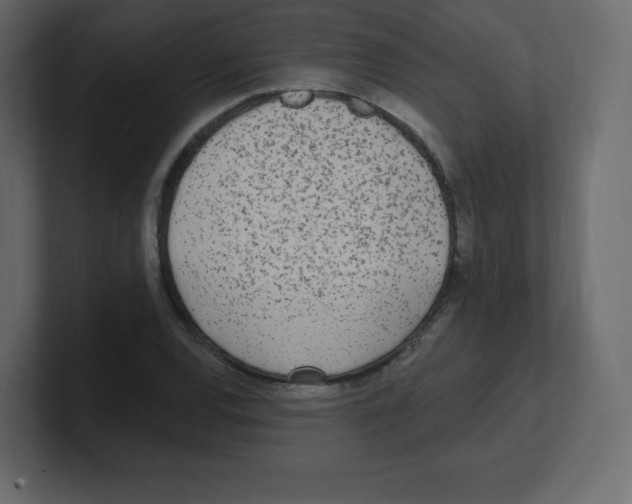 X0000100501120200807111137