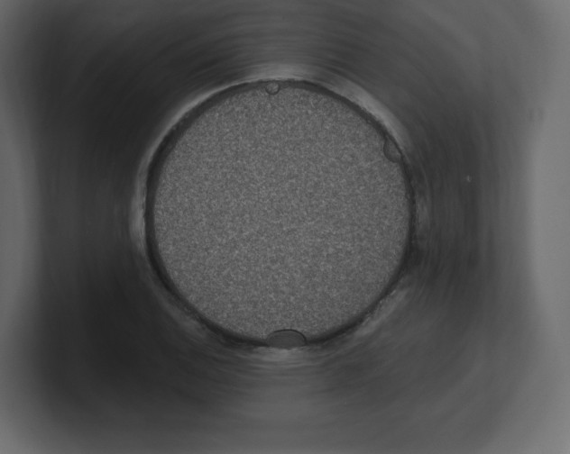 X0000100501124200807111137