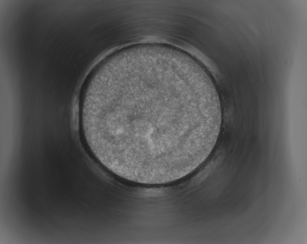 X0000100501126200807111137