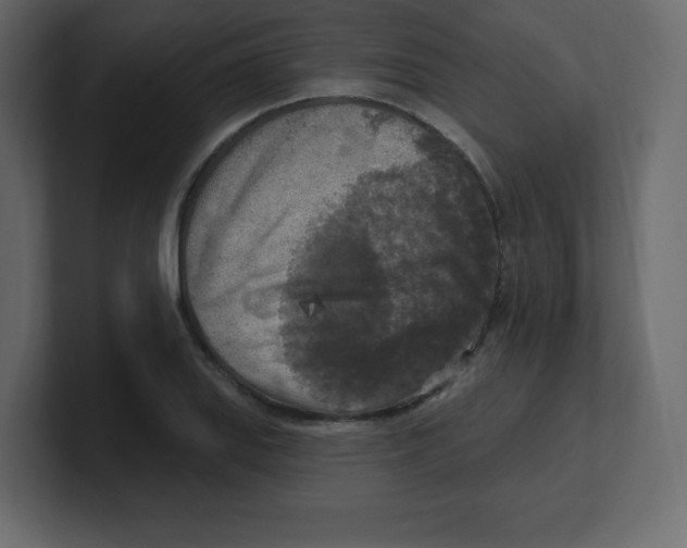X0000100501127200807111137