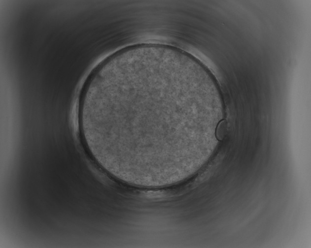 X0000100501128200807111137