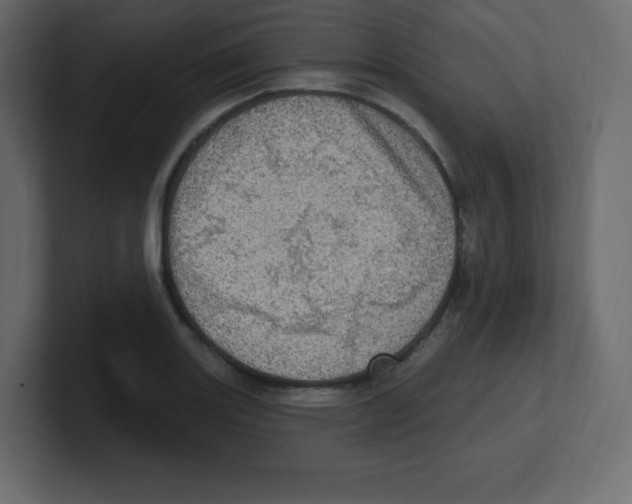 X0000100501131200807111137