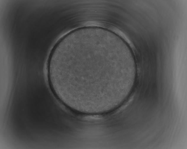 X0000100501133200807111138