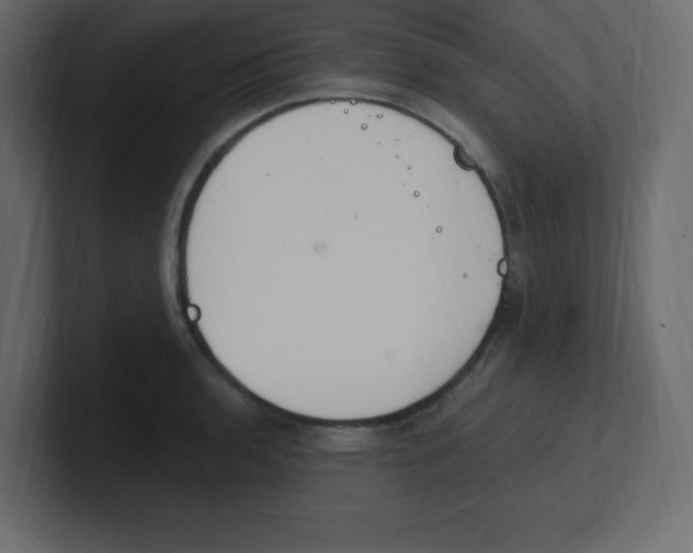 X0000100501136200807111138