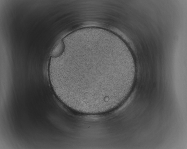 X0000100501137200807111138