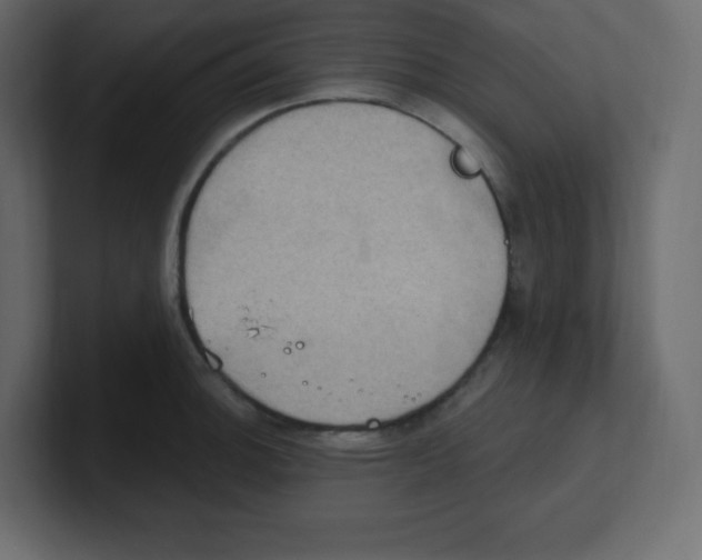 X0000100501140200807111138