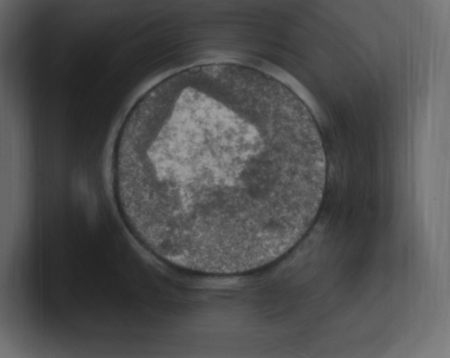 X0000100501143200807111138