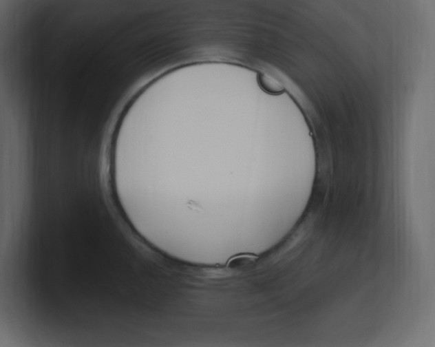 X0000100501144200807111138