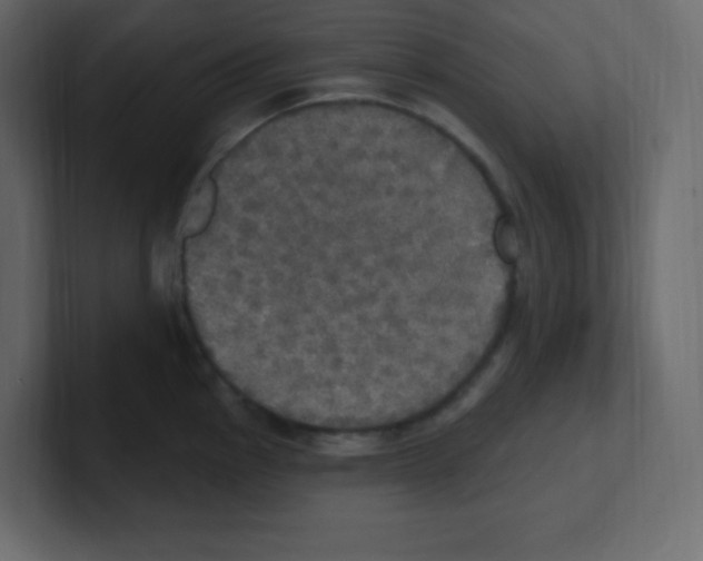 X0000100501145200807111138