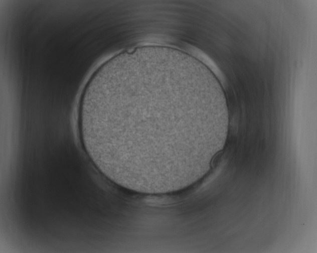 X0000100501146200807111138