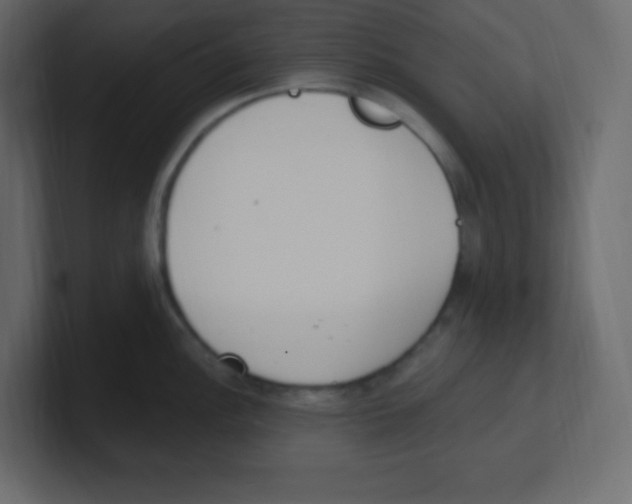 X0000100501148200807111138