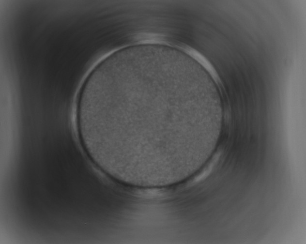 X0000100501149200807111138