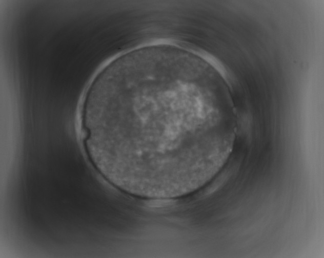 X0000100501151200807111138