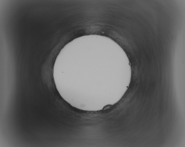 X0000100501153200807111137