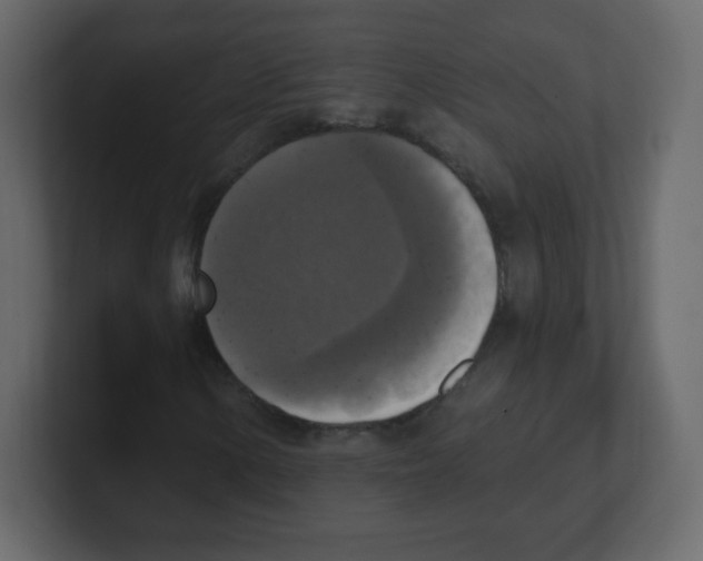 X0000100501154200807111137