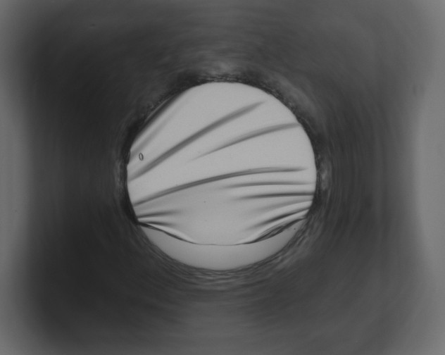 X0000100501156200807111137