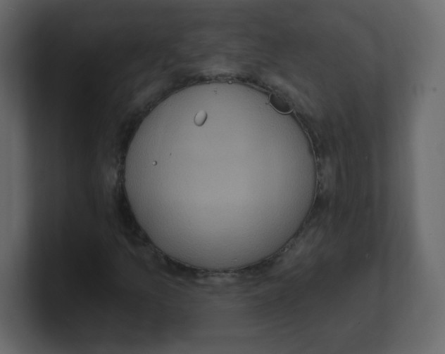 X0000100501157200807111137