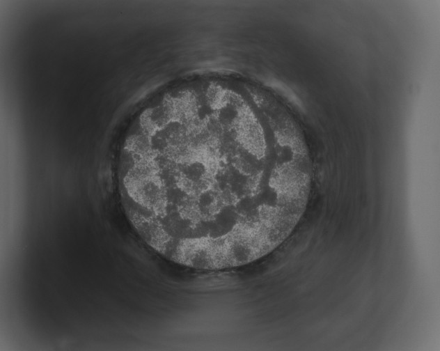 X0000100501159200807111137