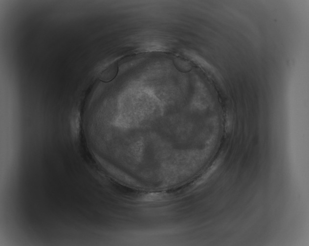 X0000100501161200807111137