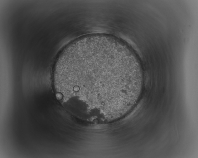 X0000100501163200807111137