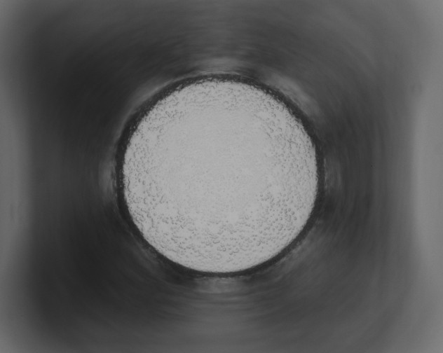 X0000100501164200807111137