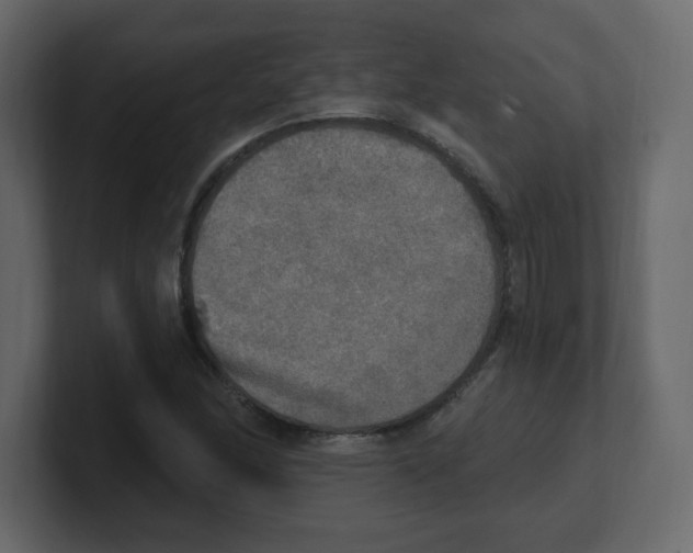 X0000100501166200807111137