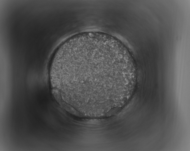 X0000100501167200807111137