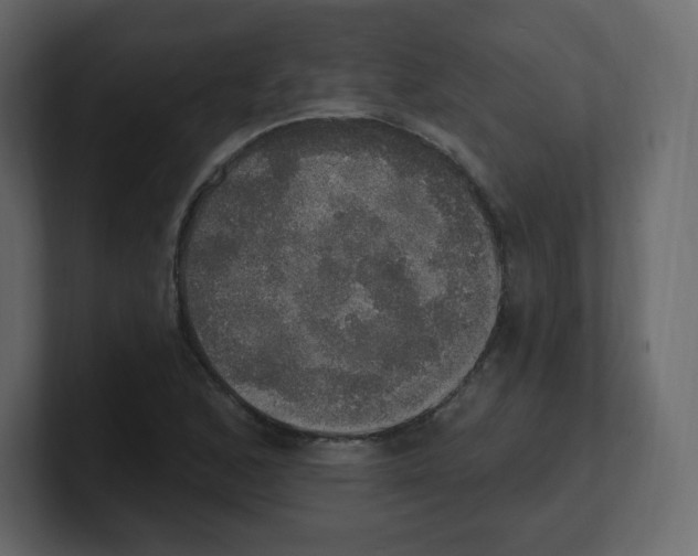 X0000100501168200807111137