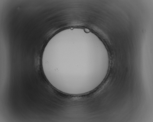 X0000100501169200807111137