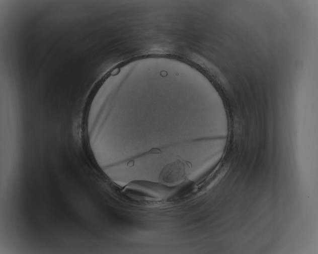 X0000100501170200807111137