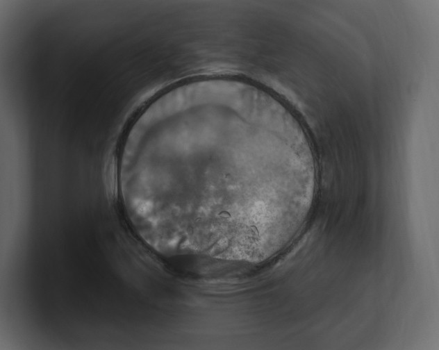 X0000100501171200807111137