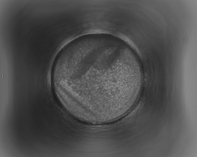 X0000100501173200807111137