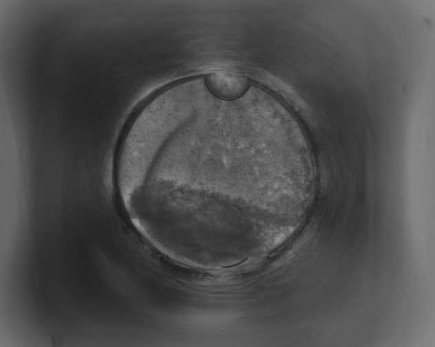 X0000100501174200807111137