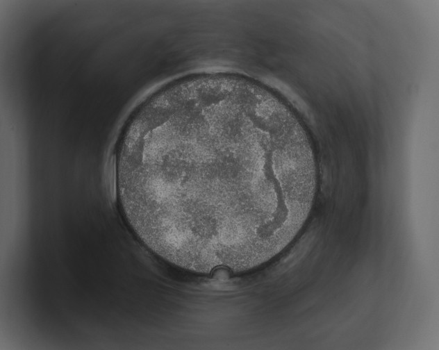 X0000100501175200807111137