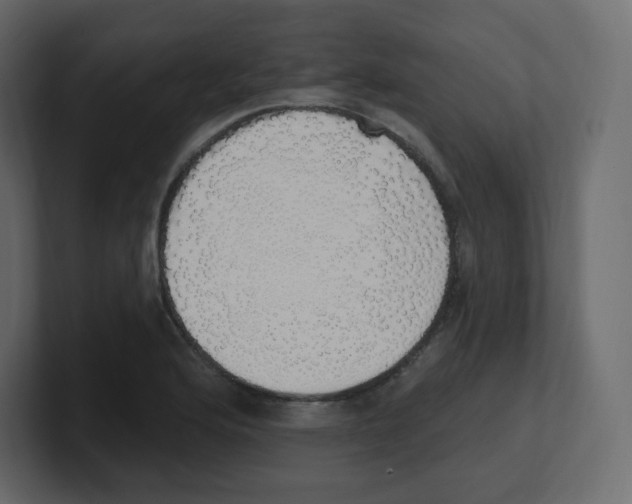 X0000100501176200807111137