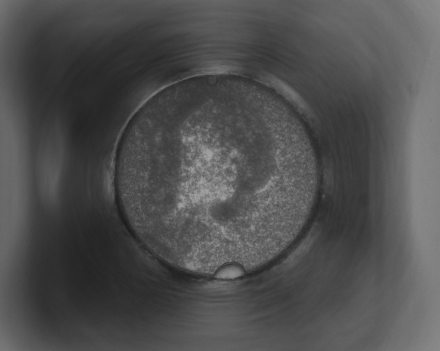 X0000100501178200807111137