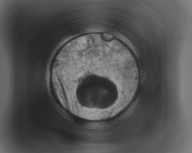 X0000100501179200807111137