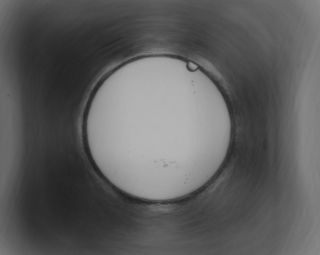 X0000100501181200807111137