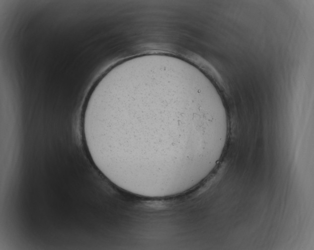 X0000100501182200807111137