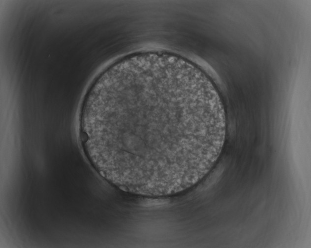 X0000100501183200807111137